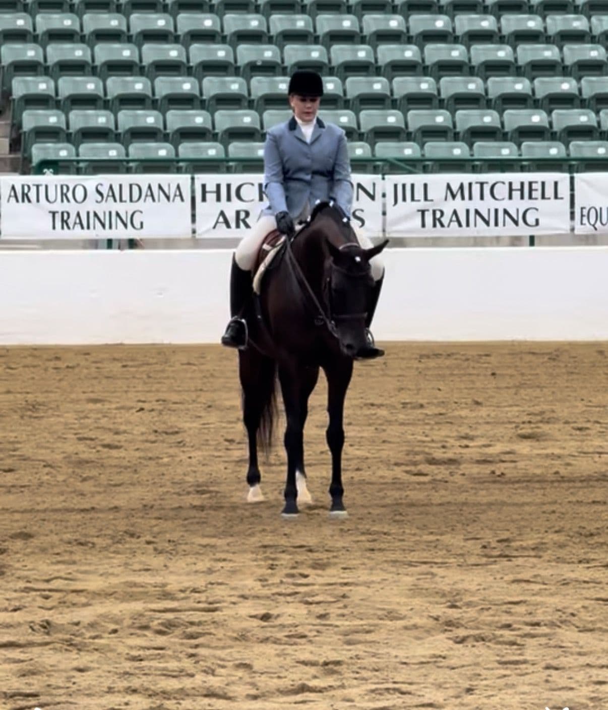 Celebrating Success at Region 3 Arabian Horse Show image
