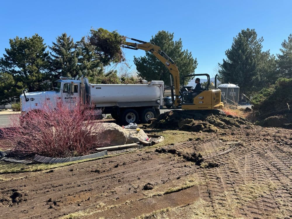 Excavator removing trees next to a dump truck on a construction site with landscaping work.